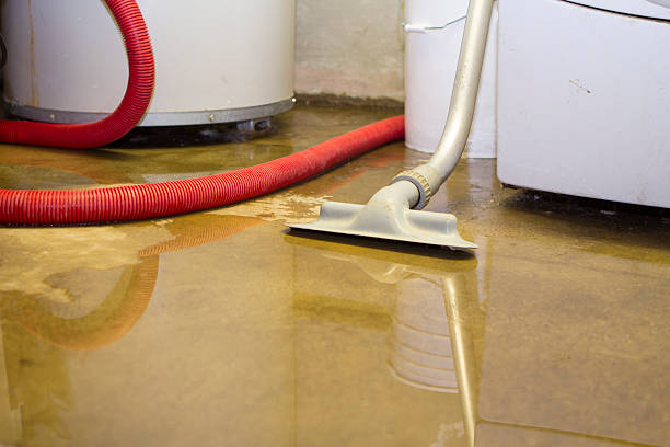 Trusted Water Damage Restoration in Summer Set, MO | Fast, Reliable, and Ready to Assist You